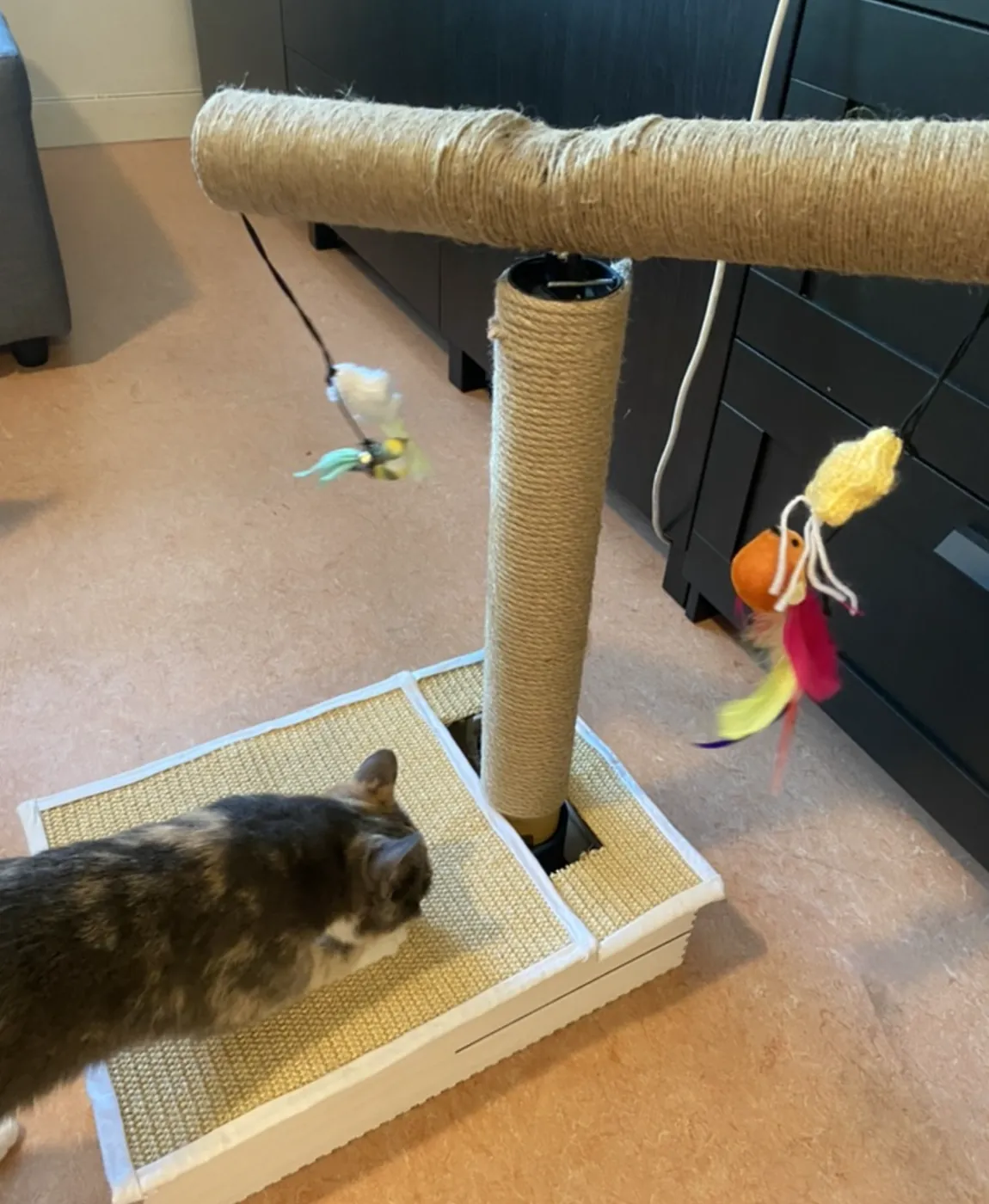 En katt utforsker sisalbasen mens lekene svinger fra armen